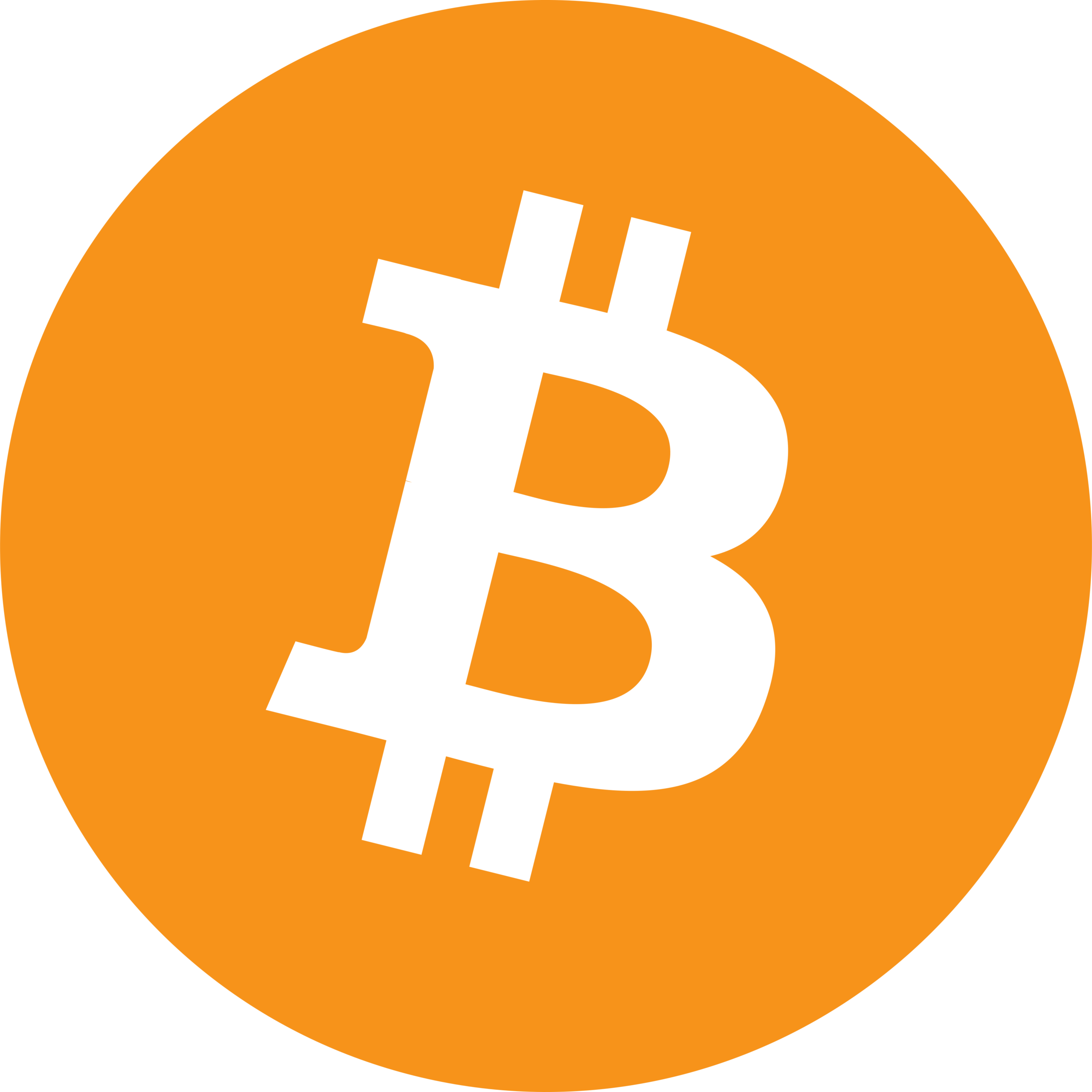 Betalningsmetod med Bitcoin